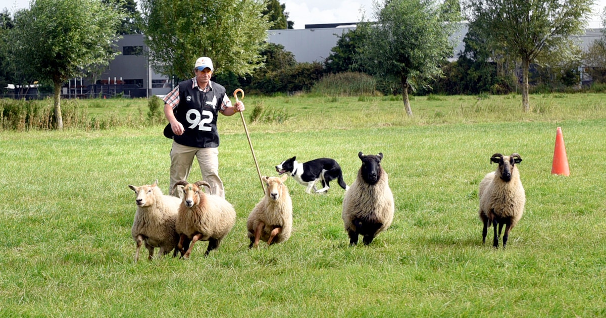 Informatieavond over conceptvisie Masterplan Kern Kamerik