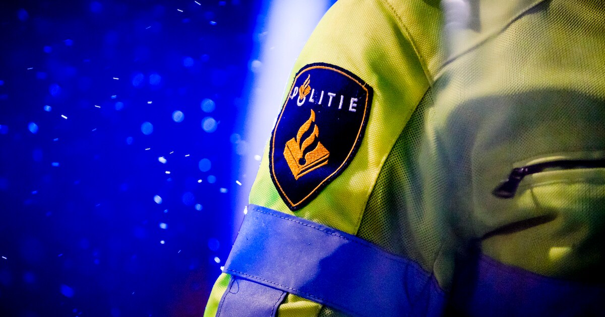 Voorburger (17) uit het niets belaagd en beroofd door drie jongens in Haagse Bos