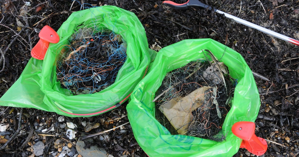 Opruimactie Schone Schelde in Sint-Maartensdijk op zaterdag 14 maart