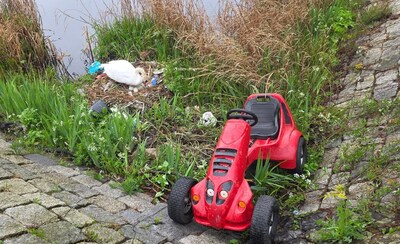 Skelter van 60 kilo naar zwanennest gegooid: ‘Moet door meerdere mensen zijn gedaan’