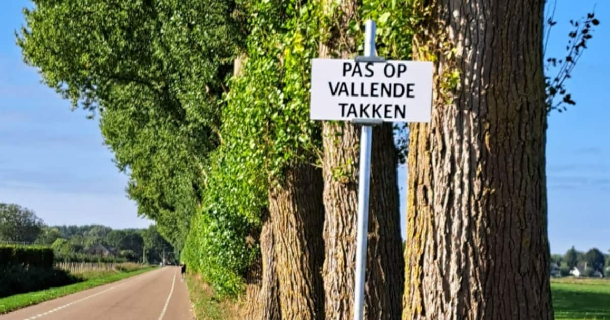 Waarschuwingsborden geplaatst voor afgebroken takken in Culemborg