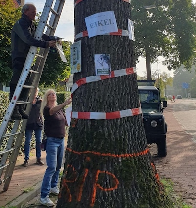 B-Team schildert RIP op vernielde eik in Hilvarenbeek en behangt ’m met linten: ‘Elke boom telt’