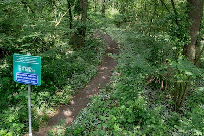 Stuk wandelgebied van Landgoed De Utrecht per direct dicht voor publiek na grootschalige boomsterfte