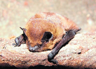 Image related to the article