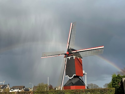 Standerdmolen in Moergestel krijgt bijna twee ton subsidie voor restauratie