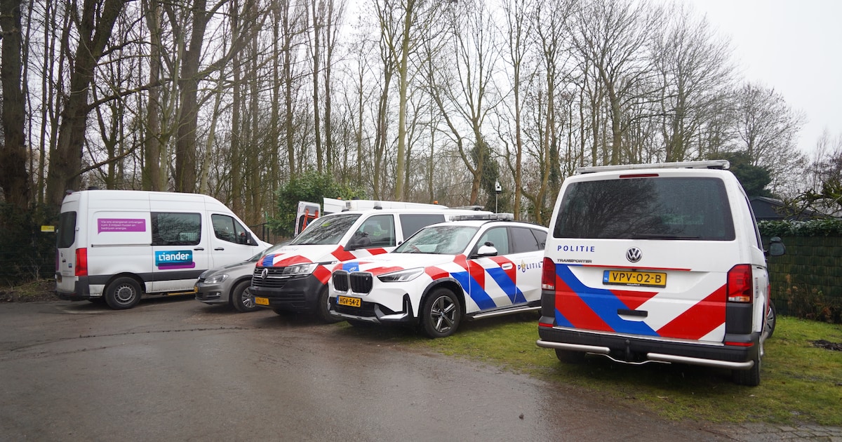 Duizenden hennepplanten aangetroffen in woning in Bleiswijk, twee verdachten aangehouden