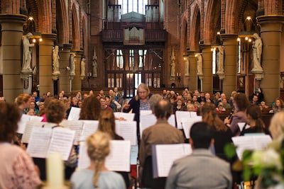 Image related to the article