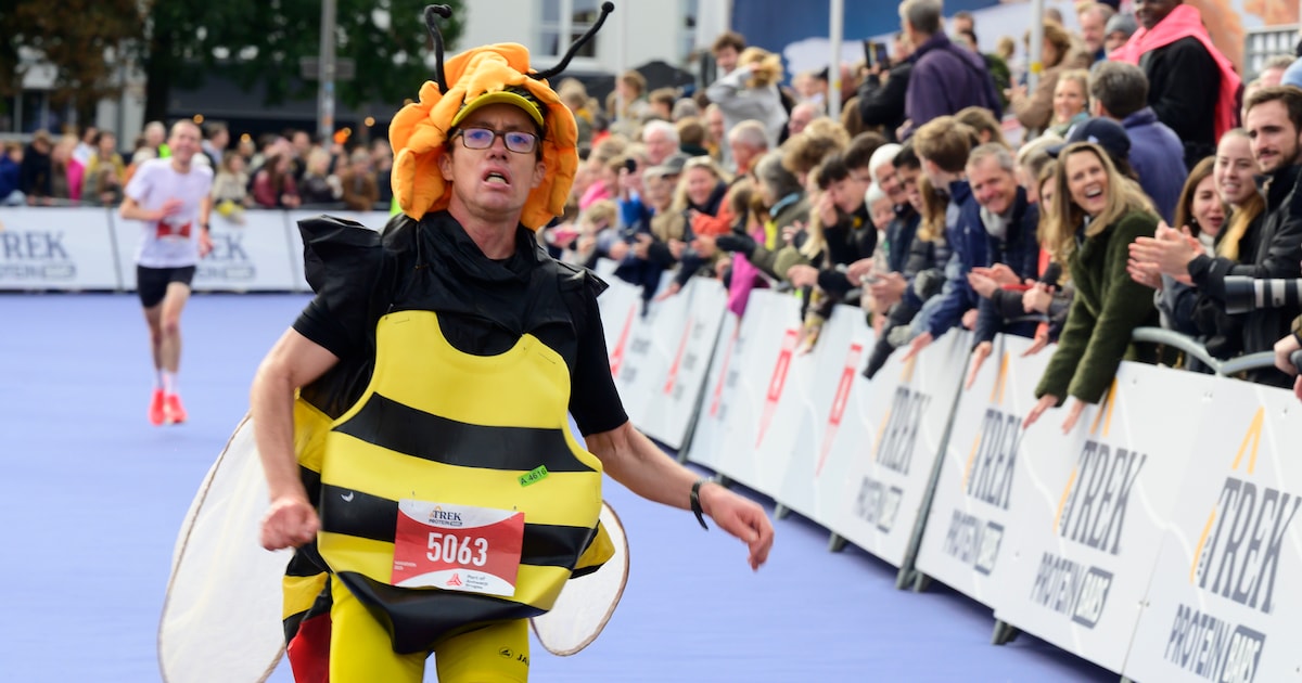 Wat te doen dit weekend in en rond Antwerpen? Van marathon tot grootste datingparty van Vlaanderen