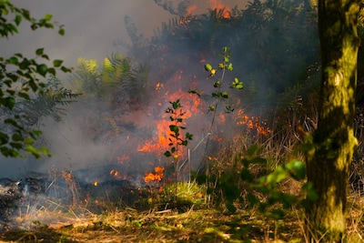 Stuk natuur in Geffen in brand, rook te zien vanaf A59