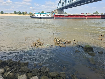 Extreem lage waterstand onthult fietsenkerkhof langs de Waal