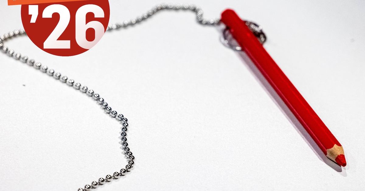 Nieuwe keuze op stembiljet: FvD doet in Zwolle voor het eerst mee aan verkiezingen voor raad