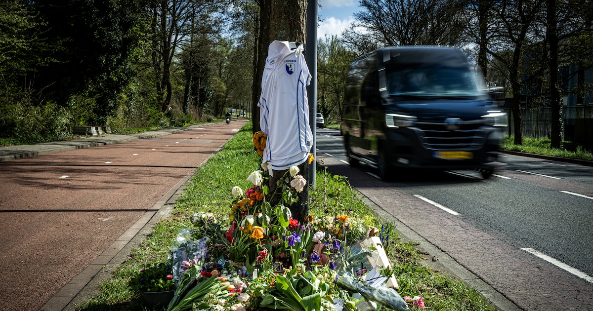 Na dollemansrit rijdt A. (19) zwangere Elisabeth (33) dood: ‘Je hebt ...