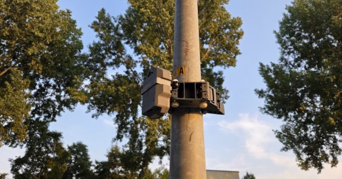 Gemeente Echt-Susteren start groot vleermuizenonderzoek deze week