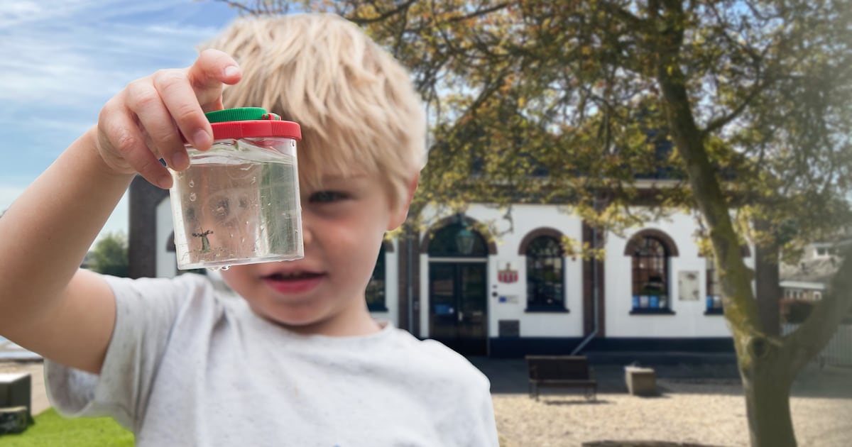 Gemaal Haastrecht houdt slootjesmiddag over waterdieren