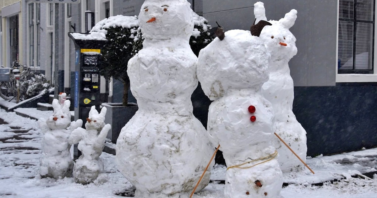 Van een sneeuwfamilie tot een geplet sneeuwdiertje: 8x bijzondere Middelburgse sneeuwcreaties