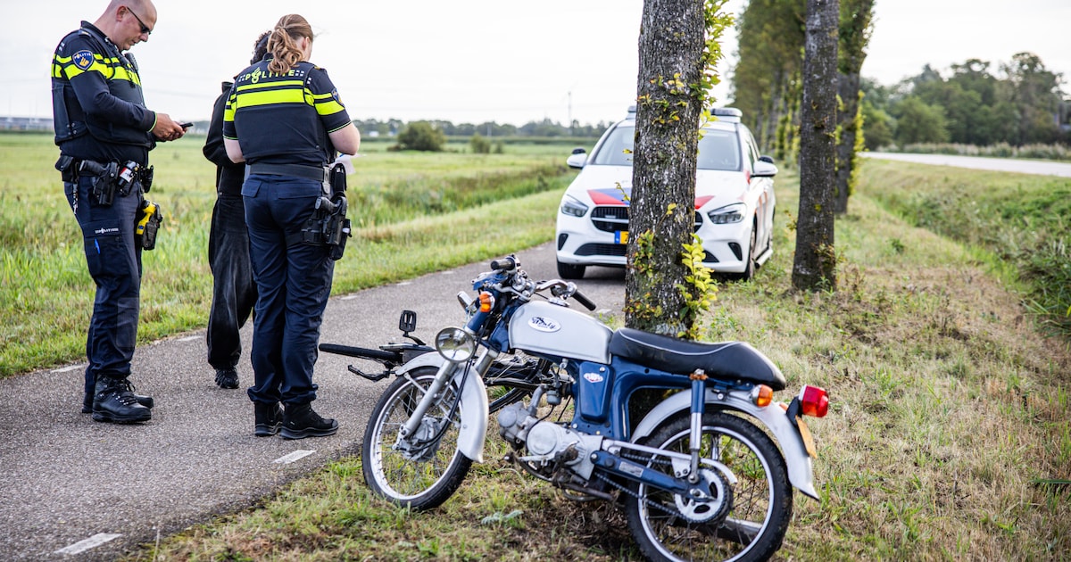 Brommerrijder moet uitwijken voor fietser en botst tegen boom in Grou