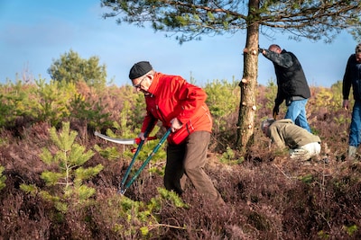 Heidewerkdag Rozendaalse Veld op zaterdag 28 februari