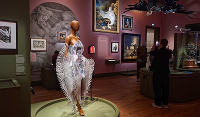 Van het Puttertje tot een haute couture-jurk: vogels spotten in het Mauritshuis