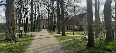 Uittips: dit doe je in Ede dit weekend (16 - 18 jan)