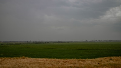 Image related to the article