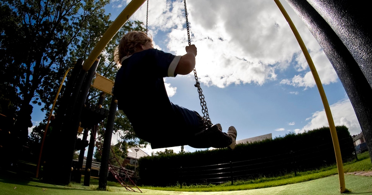 Ontwerp speelplek Vossepolder bijna definitief: ontwerp met kabelbaan