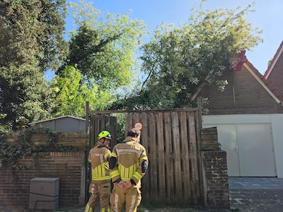 Boom valt op voormalige snackbar in Wageningen