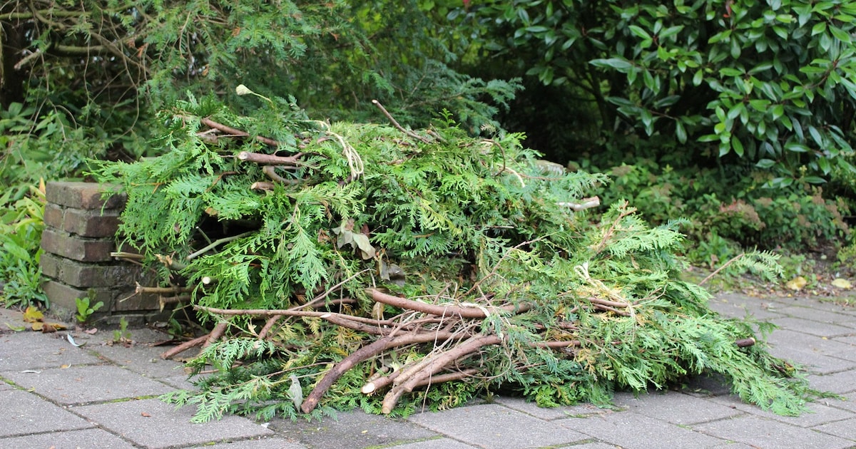 RMN kondigt voorlopig laatste ophaalronde voor snoeihout in Zeist aan