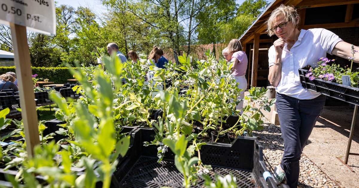 Groenmarkt Buitenpost: tuinadvies, activiteiten en workshops