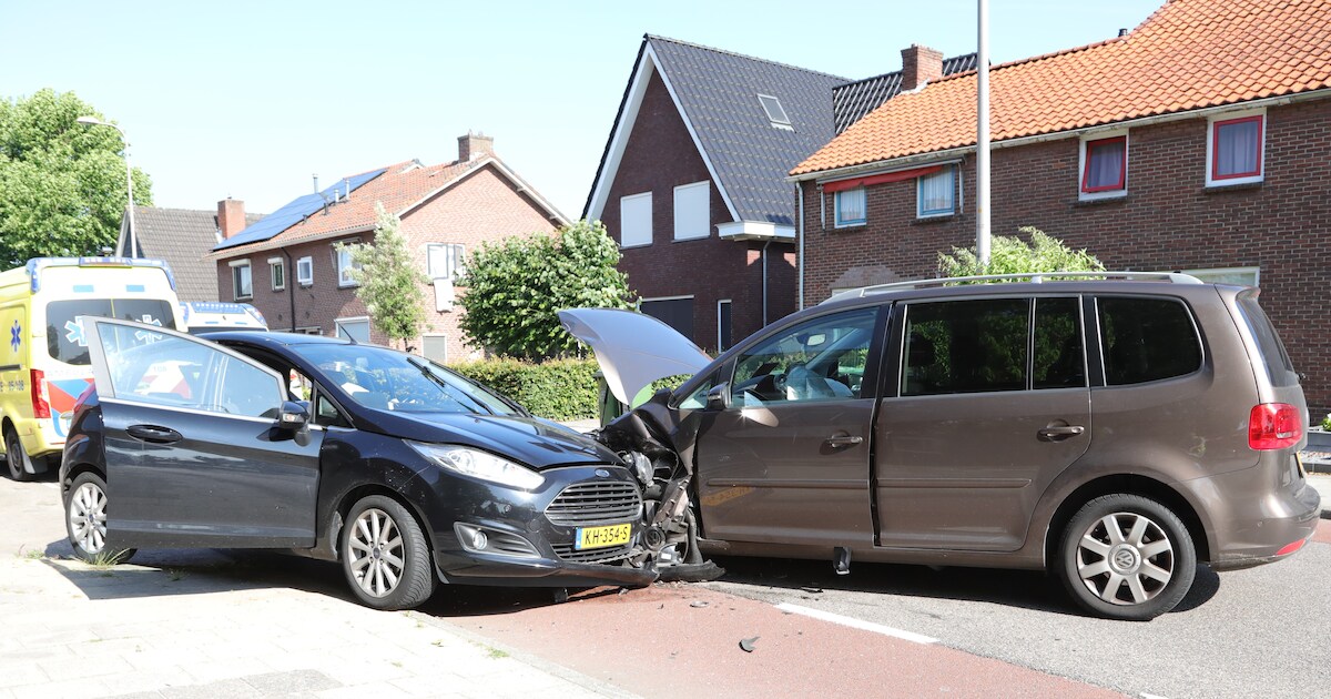 Kniebeschermer Probst online kopen | Visser Assen