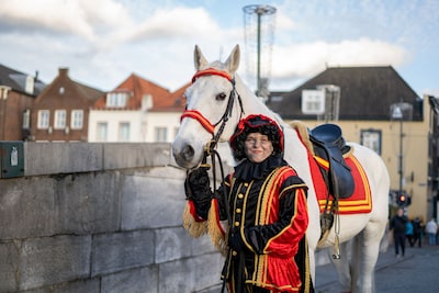 Waarom het kiezen van een sinterklaaspaard zo moeilijk is: schimmels moeten bomproof én fit zijn