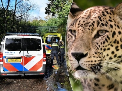 Dierenverzorgster Beekse Bergen is overleden