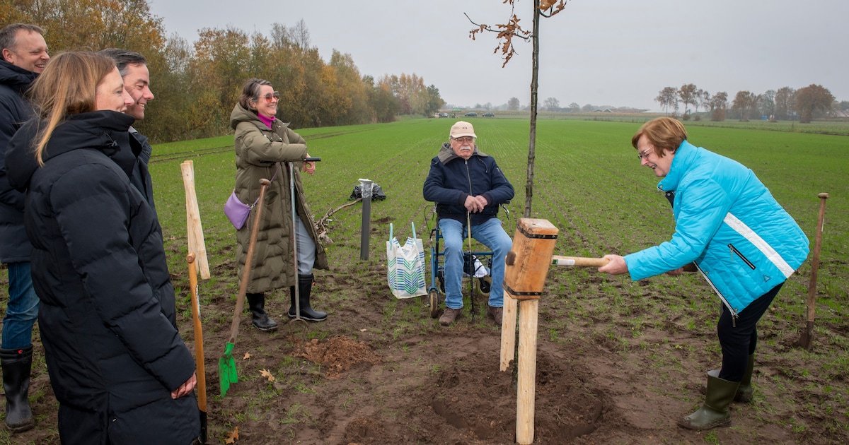 Eerste bomen geplant in natuurinclusieve wijk Roermond tijdens Boomfeestdag