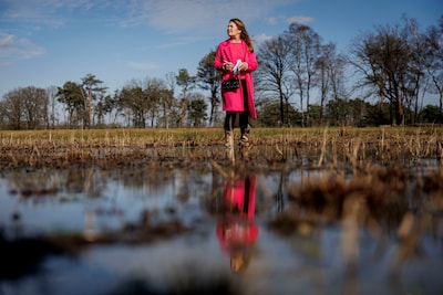 Image related to the article