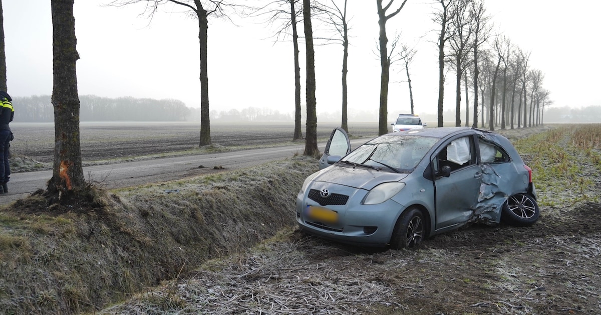 Auto belandt in weiland na botsing met boom op de Loonerweg in Balloo