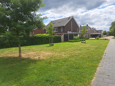 Man uit Almelo stapelgek van ballen tegen zijn huis, maar rechter stelt: overlast niet groot genoeg