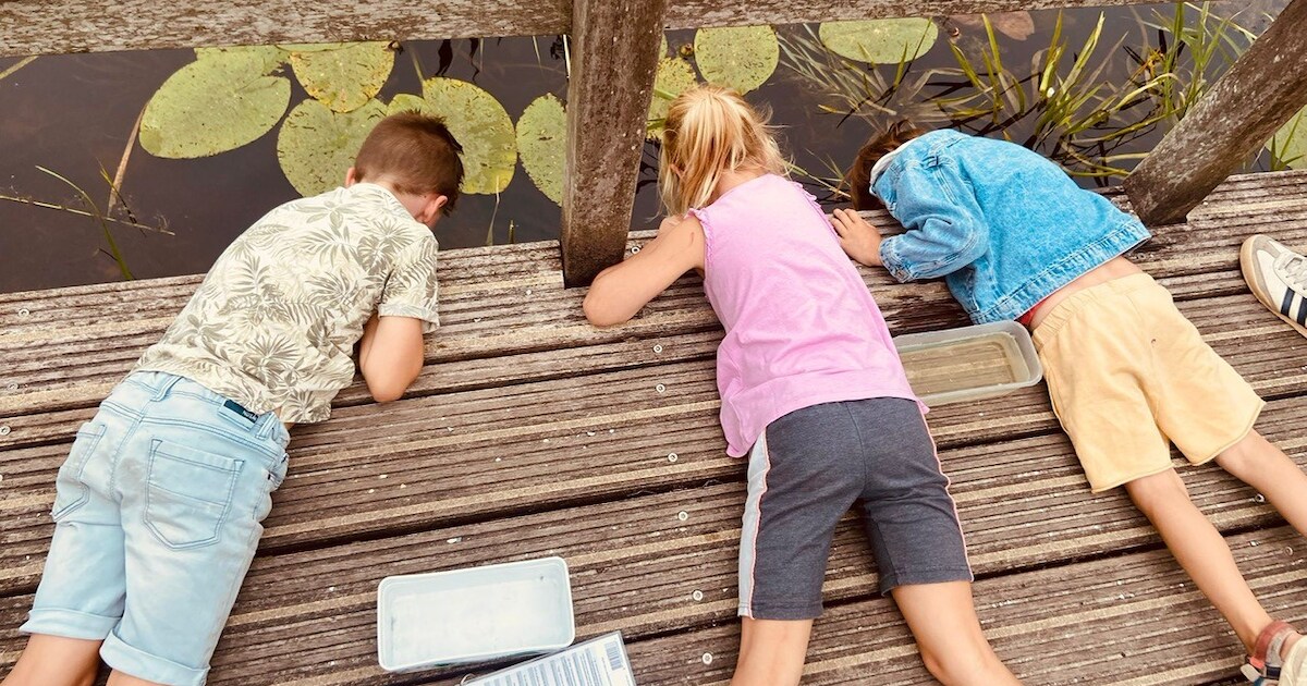 Duin-safari voor kinderen in Rockanje tijdens meivakantie | Voorne aan Zee