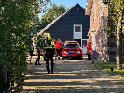 Man ernstig gewond door trap van paard in Gemert, traumahelikopter rukt uit