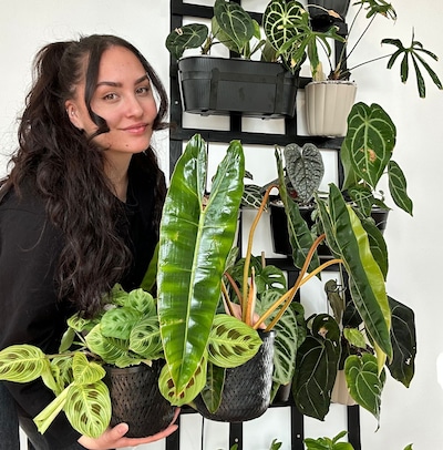 Angel wil graag nog meer planten in huis: ‘Heb een realistische wensenlijst, en een onrealistische’