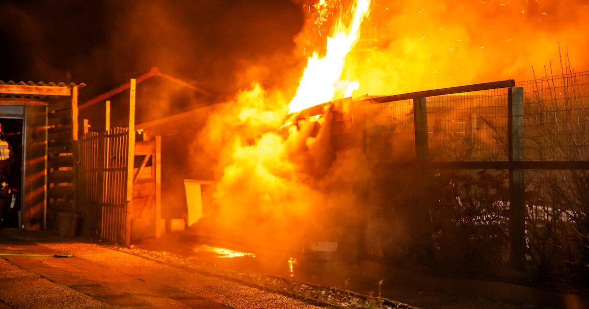Gasfles ontploft tijdens schuttingbrand in Oosterwolde