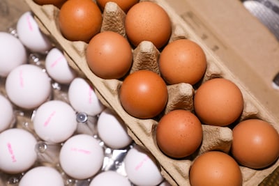 Is our beloved egg becoming a luxury product? ‘Compare it to a good piece of meat’