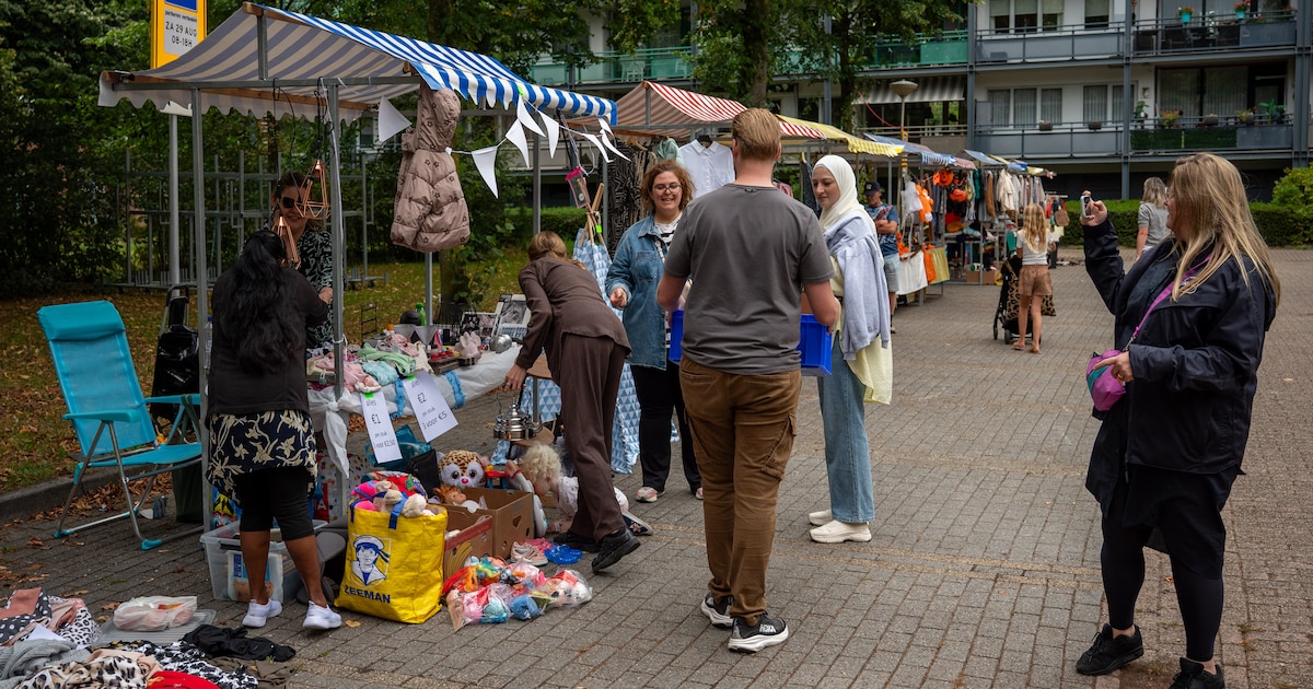 Rommelmarkt in Stellendam biedt producten, terras en rad van avontuur