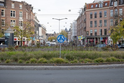 Fatbiker die met zoontje (2) voorop tegen tram reed op Hugo de Grootplein krijgt taakstraf