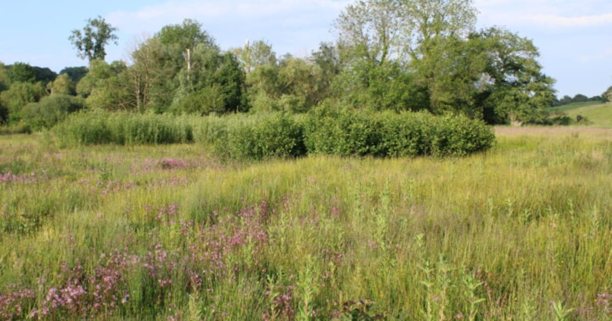 Lezing over natuurontwikkeling in Kerkrade