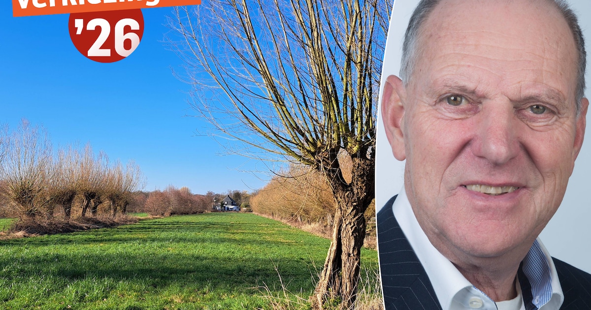 Waarom Soester partij GGS de helft minder woningen wil bouwen om knotwilgen in weilanden te sparen