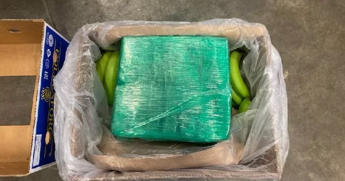 Politie houdt drugsteam uit Blaricum, Bussum en Amsterdam aan na inval Tynaarlo