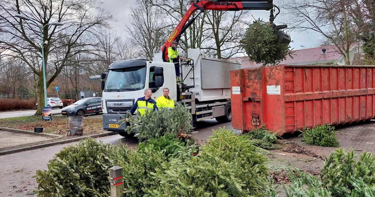 Kerstboom Challenge in Oegstgeest: win een Intertoys-kadokaart
