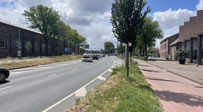 Haarlem City Council approves Green Singel design