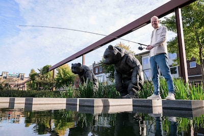 Image related to the article