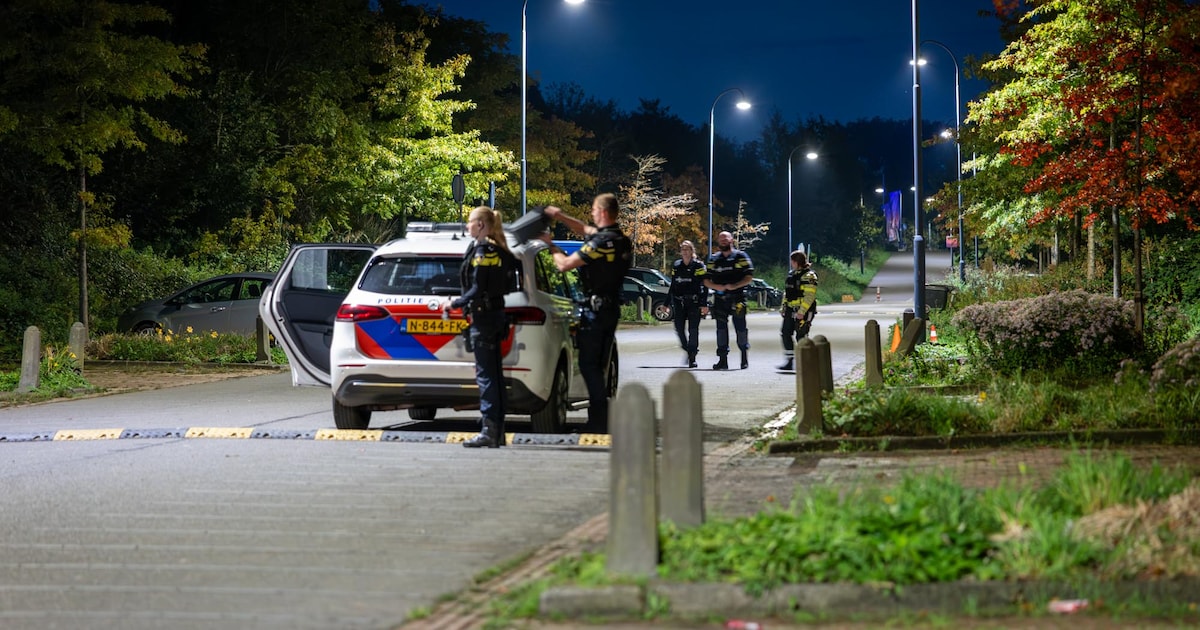 Politie zoekt met drone en speurhond naar vuurwapen in Haarlems park, maar vindt niets
