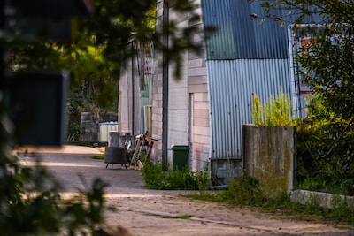 Image related to the article